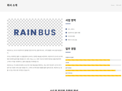 레인버스-홈페이지제작-회사소개